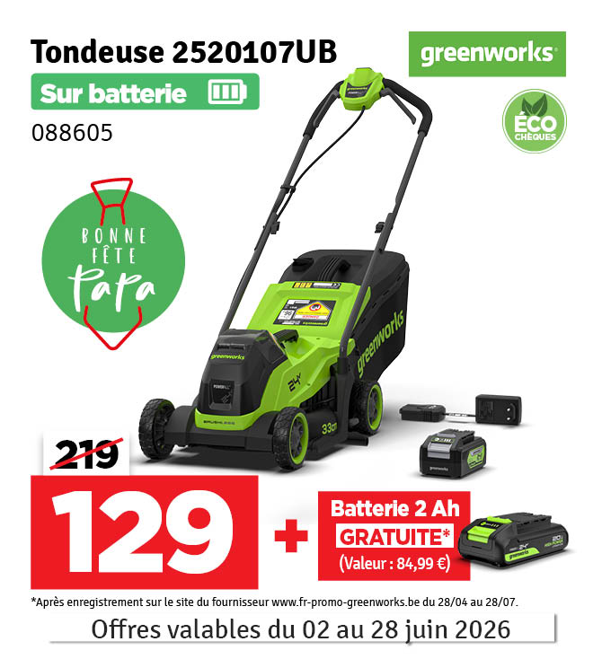 Tondeuse sur batterie Powerall 2520107UB 24 V 4 Ah GREENWORKS